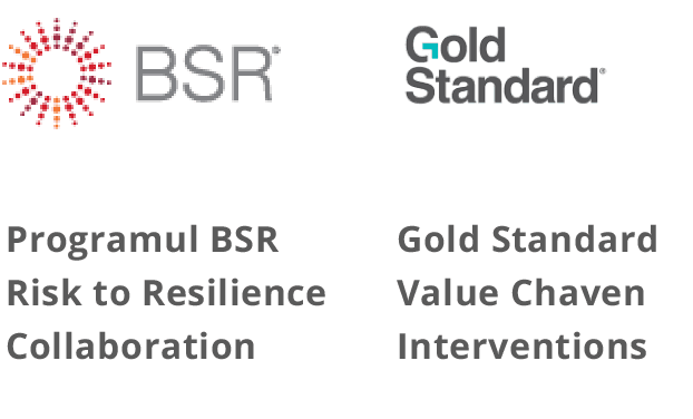 Programul BSR Risk to Resilience Collaboration și Gold Standard Value Chaven Interventions