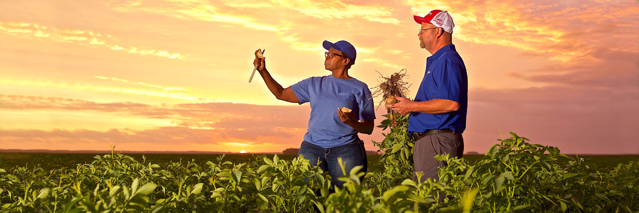 food-system-header-desktop food-system-header-desktop